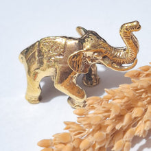 Load image into Gallery viewer, Brass Decor Mini Animal
