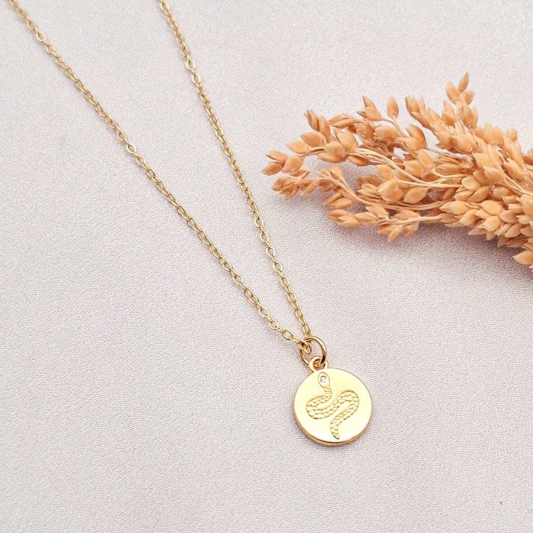 Necklace Snake Charm
