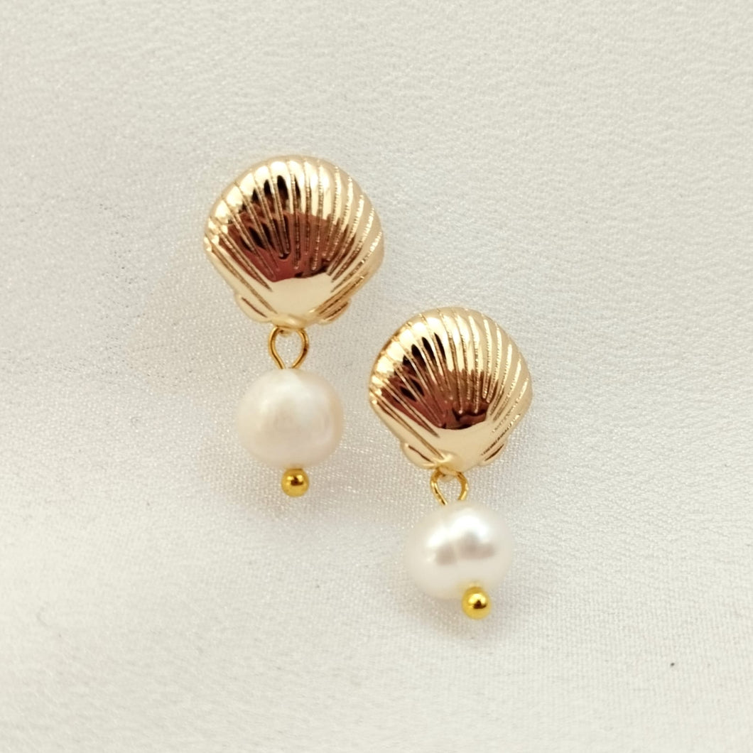 Earring Stud Shell with Pearl