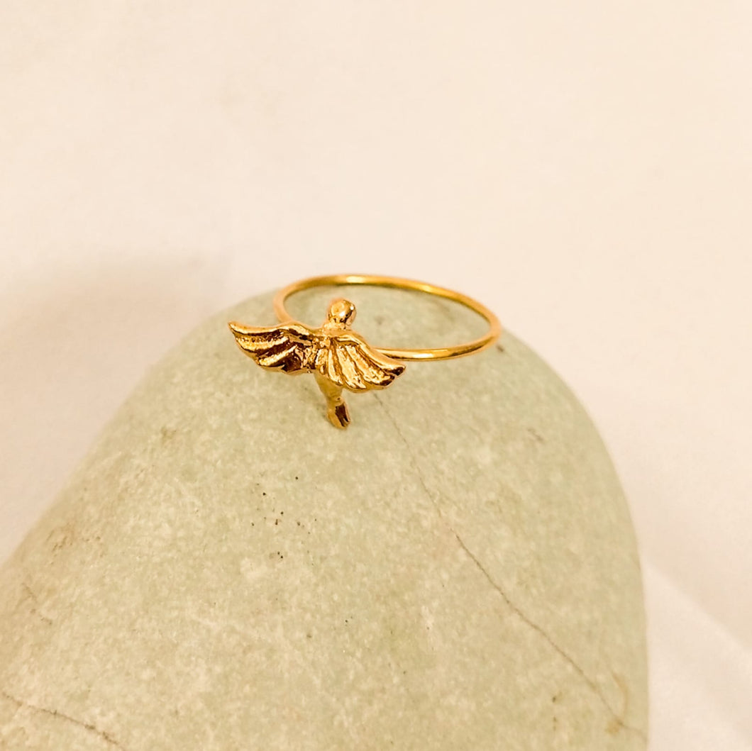 Ring Fairy Hummingbird