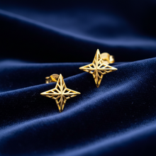 Load image into Gallery viewer, Earring Star
