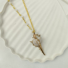 Load image into Gallery viewer, Necklace Shell Bolinus Brandaris
