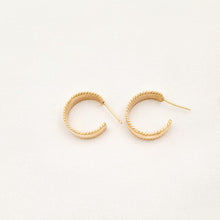 Load image into Gallery viewer, Earring Hoop Stud Natural Swirl
