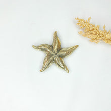 Load image into Gallery viewer, Brass Incense Holder Star Fish
