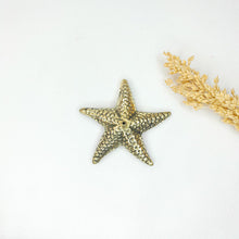 Load image into Gallery viewer, Brass Incense Holder Star Fish
