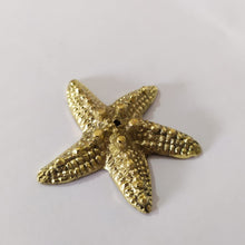 Load image into Gallery viewer, Brass Incense Holder Star Fish
