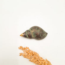 Load image into Gallery viewer, Brass Incense Holder Snail

