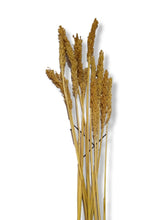 Load image into Gallery viewer, Dry Flower
